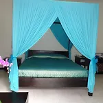 Alam Warna